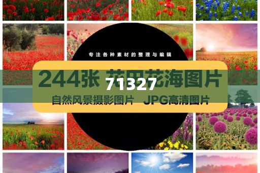 探索777788888管家婆網(wǎng)，一站式解決方案的綜合服務(wù)平臺，一站式解決方案的綜合服務(wù)平臺，探索777788888管家婆網(wǎng)