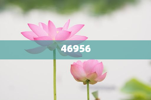 新奧集團，邁向2025，天天開好彩的愿景與挑戰(zhàn)，新奧集團邁向2025，實現(xiàn)天天開好彩的愿景與挑戰(zhàn)