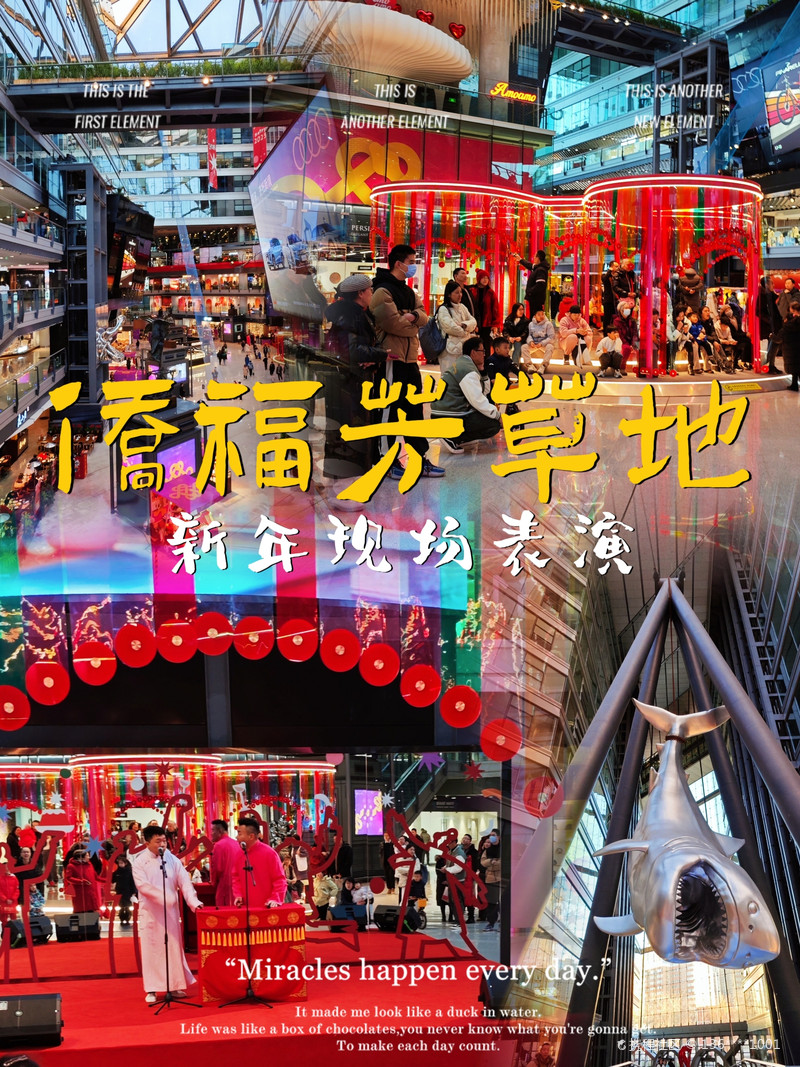 最新揭秘，2024新澳芳草地全方位資料詳解，揭秘2024新澳芳草地全方位資料，最新詳解