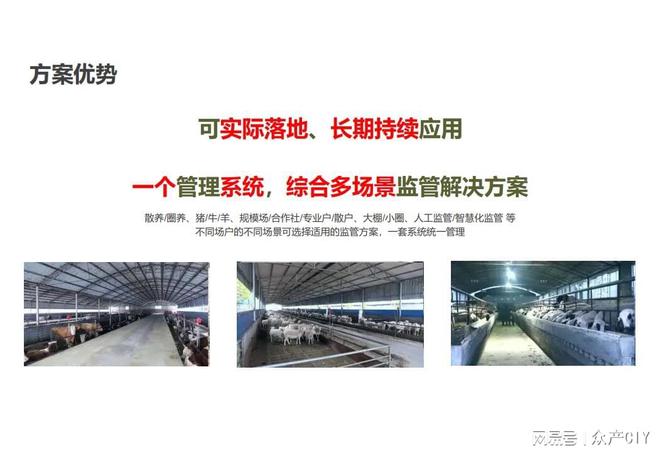 探索新澳芳草地，正版資料的免押之旅（2025年最新資訊），探索新澳芳草地，正版資料免押之旅（最新資訊）