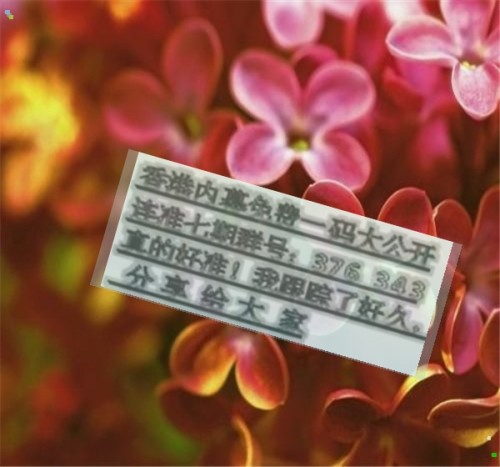 揭秘兩肖必中一肖王中王的秘密策略，揭秘兩肖必中一肖王中王的秘密策略，揭秘生肖彩票的必勝法則！