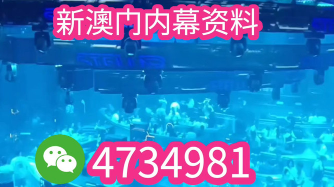 澳門(mén)特馬今晚開(kāi)獎(jiǎng)香港，探索彩票背后的文化魅力與未來(lái)展望（2025年展望），澳門(mén)特馬與香港彩票，文化魅力背后的未來(lái)展望（2025年展望）