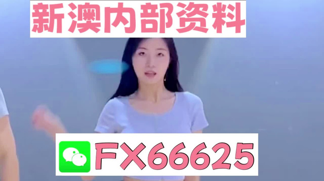 新澳門精準(zhǔn)資料大全——管家婆料解析與探索，澳門精準(zhǔn)資料大全，管家婆料解析與深度探索