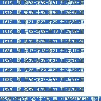 一肖2碼默認版，深度解析與SEO優(yōu)化策略，一肖2碼深度解析與SEO優(yōu)化策略探討