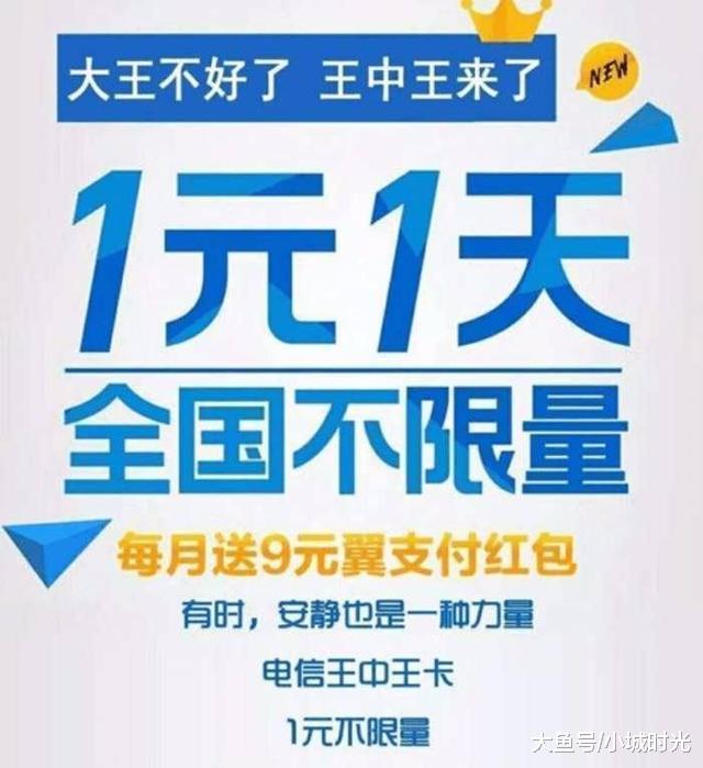 王中王新四不像一肖，揭秘背后的神秘面紗與SEO策略洞察，揭秘王中王新四不像一肖背后的神秘面紗與SEO策略洞察
