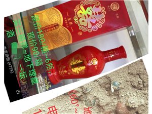 王中王一肖論一壇，深度探討與SEO優(yōu)化策略，王中王一肖論壇，深度探討與SEO優(yōu)化策略分享