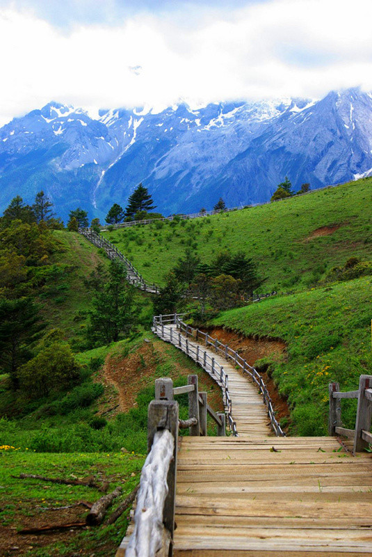 玉龍雪山門(mén)票免費(fèi)政策詳解，玉龍雪山門(mén)票免費(fèi)政策全面解析