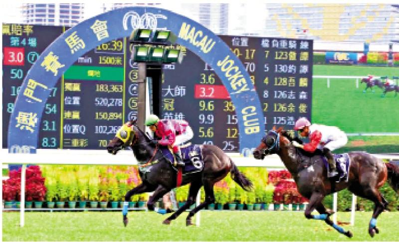 澳門賽馬會(huì)，歷史、文化與激情的交融，澳門賽馬會(huì)，歷史、文化與激情的盛會(huì)