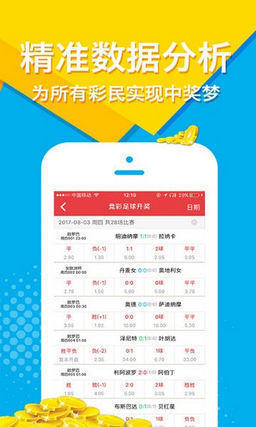 王中王平特一肖期期淮，深度解析與SEO優(yōu)化策略，王中王平特一肖期期淮深度解析與SEO優(yōu)化策略探討