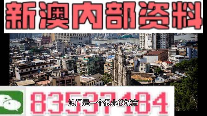 新澳門精準(zhǔn)四肖期準(zhǔn)，探索背后的秘密與策略，澳門精準(zhǔn)四肖期背后的秘密與策略探索