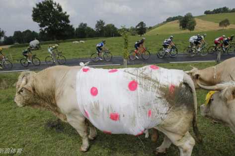王中王四不像特一肖，神秘文化符號(hào)解讀與SEO洞察，王中王四不像特一肖，神秘文化符號(hào)解讀與SEO洞察揭秘