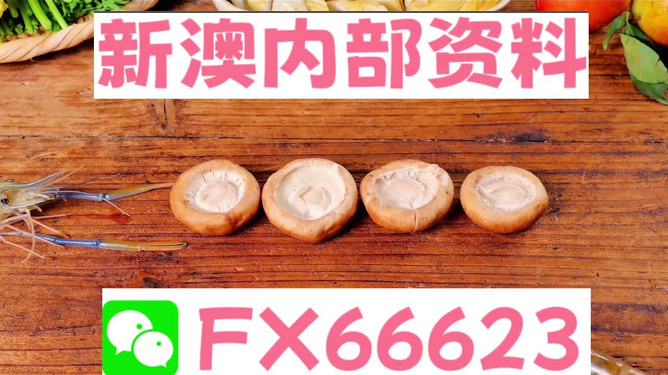 新澳全年免費(fèi)資料大全——探索與學(xué)習(xí)資源的寶庫，新澳全年免費(fèi)資料大全，探索與學(xué)習(xí)資源的終極寶庫