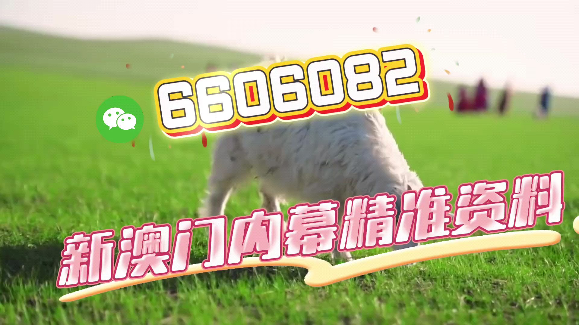 澳門一肖一碼準選今晚