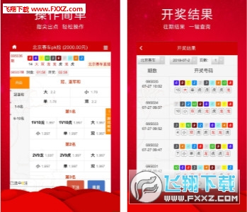 王中王三肖必出一肖，深度解析與探索，王中王三肖必出一肖，深度解析與探索揭秘