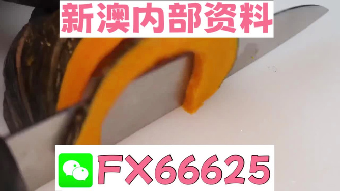 澳門(mén)管家婆，揭秘精準(zhǔn)預(yù)測(cè)的秘密武器，澳門(mén)管家婆揭秘，精準(zhǔn)預(yù)測(cè)的秘密武器全解析