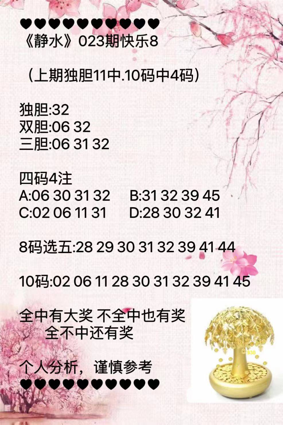 全面解析與深度探索