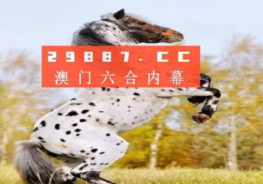 揭秘白小姐王中王四不像圖一，探尋肖中特的神秘面紗，揭秘白小姐王中王四不像圖與肖中特神秘面紗的背后真相