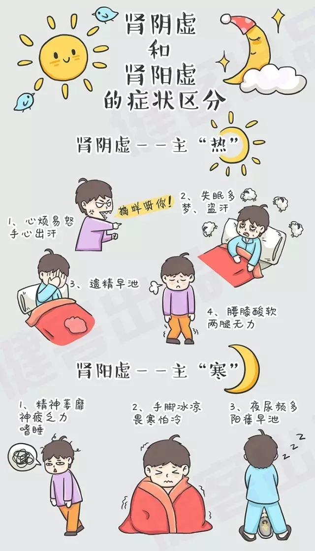 解析腎陰虛與腎陽虛，兩者之間的區(qū)別及理解，腎陰虛與腎陽虛，解析其區(qū)別與理解