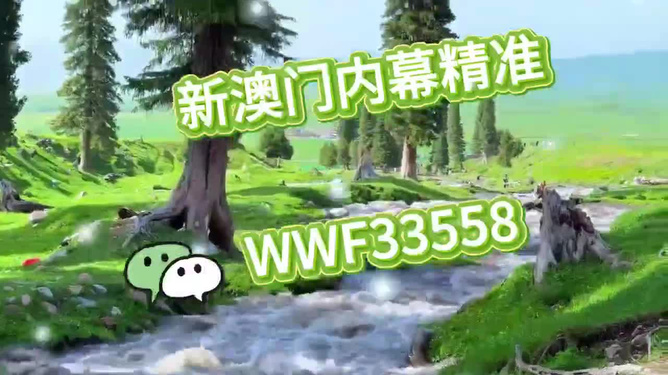 首選王中王打一生肖——揭秘生肖之王的獨特魅力，揭秘生肖之王獨特魅力，王中王所指生肖揭曉