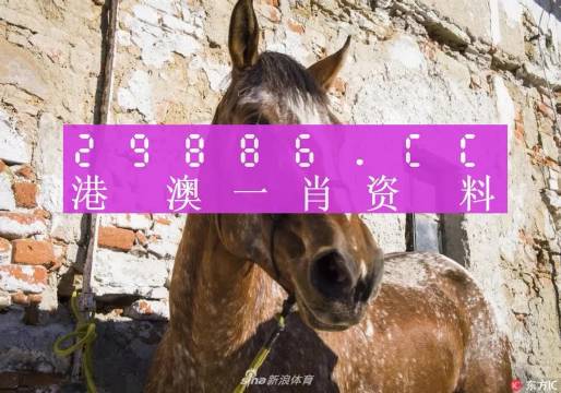 揭秘王中王資料，一肖正特馬的奧秘，揭秘王中王資料與一肖正特馬的神秘面紗