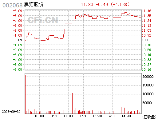 深入了解，關(guān)于股票代碼中的秘密——002068，揭秘股票代碼中的秘密，002068深度解析