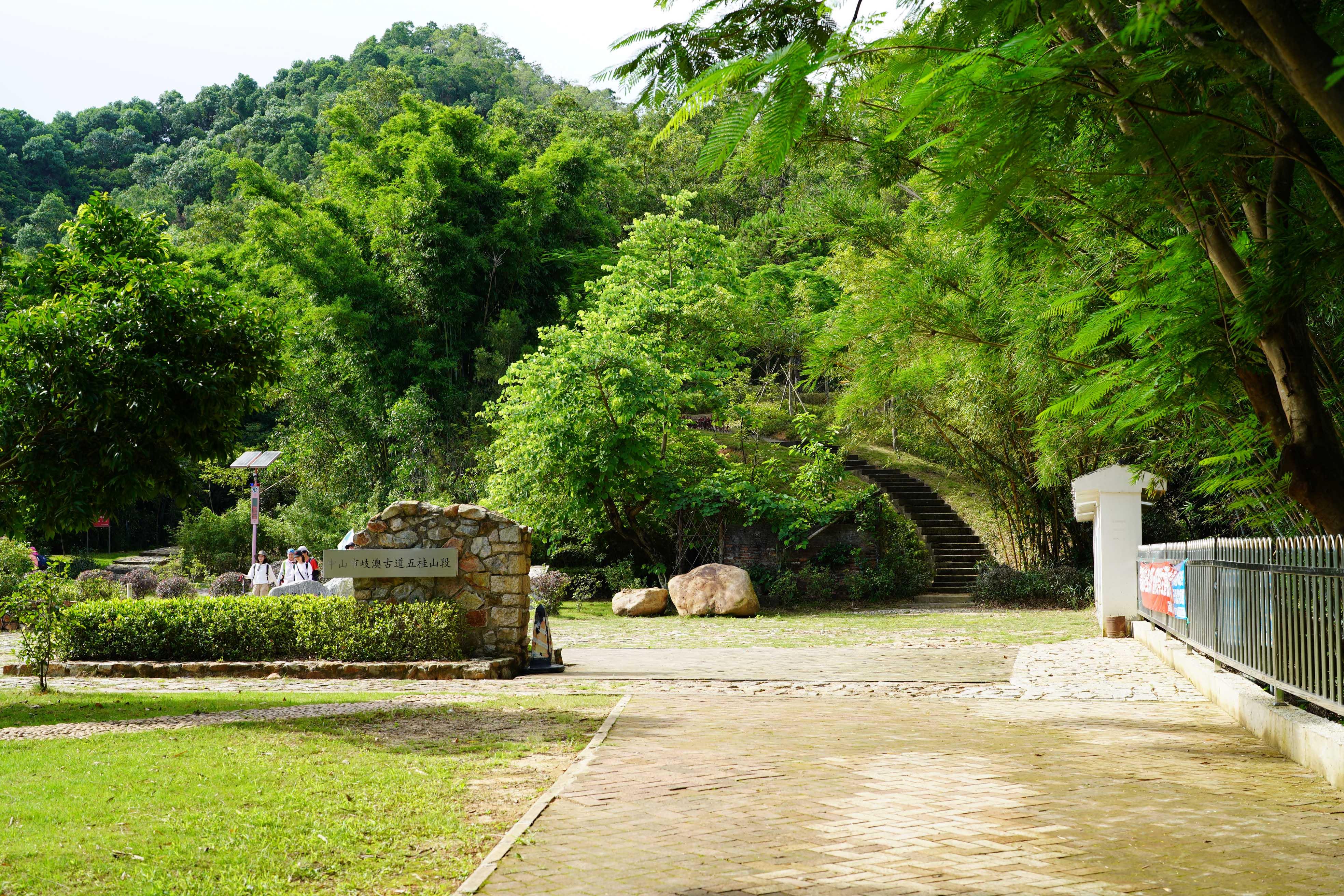 澳門走勢圖最新分析