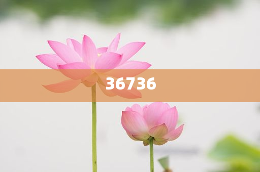 神秘面紗揭開