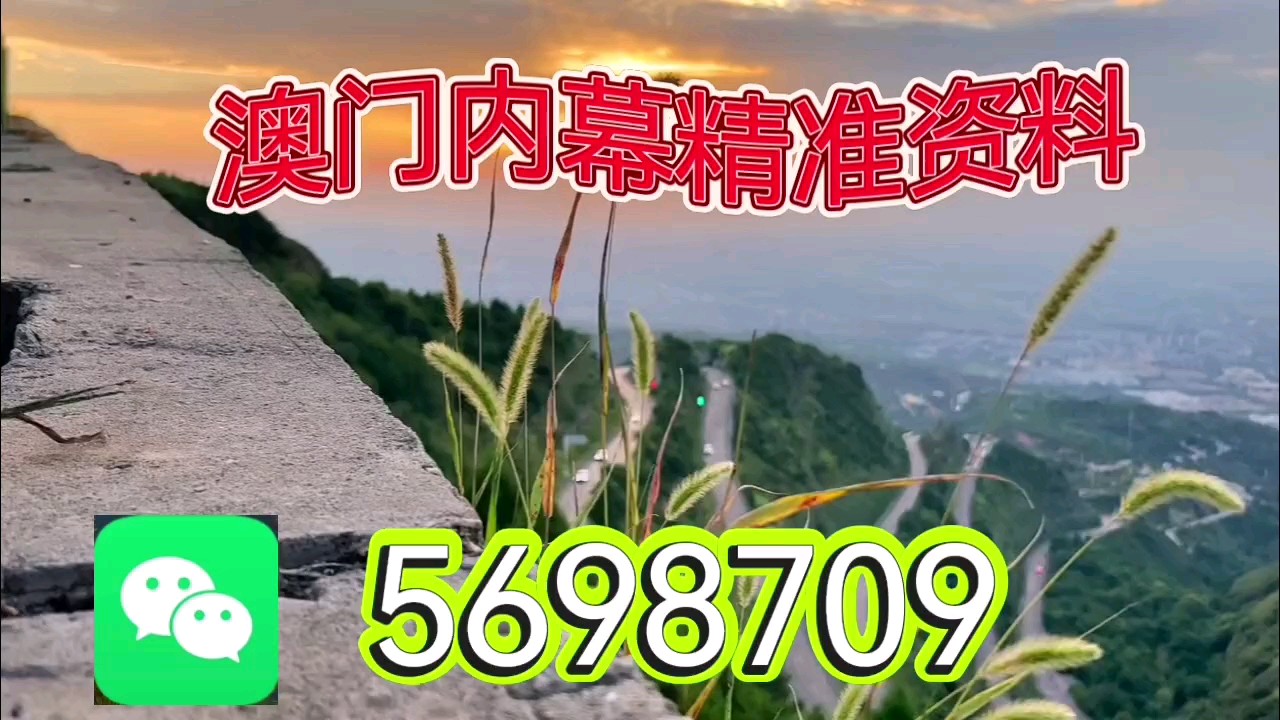 新澳天天開彩資料大全，探索彩票世界的奧秘，探索彩票世界奧秘，新澳天天開彩資料大全