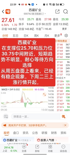 西藏礦業(yè)股票股吧，投資潛力與前景展望，西藏礦業(yè)股票投資潛力與前景展望，股吧熱議的焦點