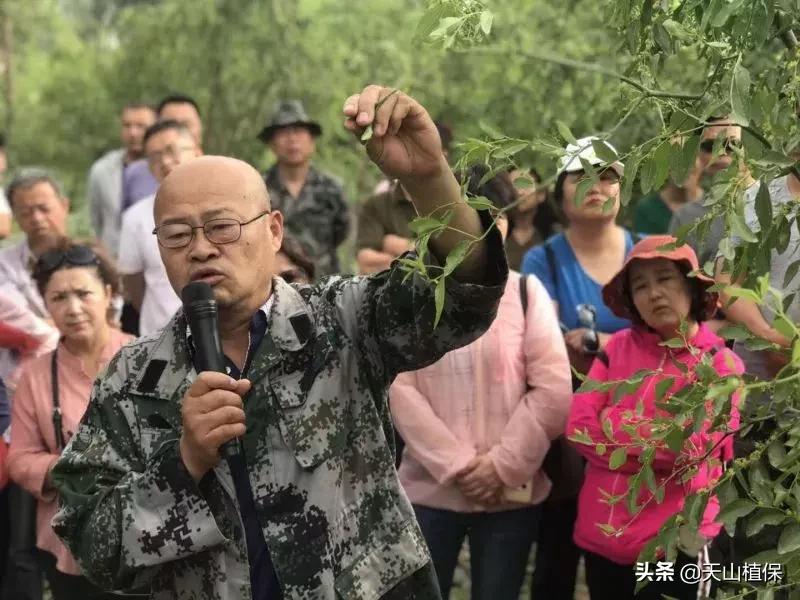 長期吃紅棗的潛在害處，了解并平衡飲食健康，長期食用紅棗的潛在風(fēng)險與飲食平衡的重要性