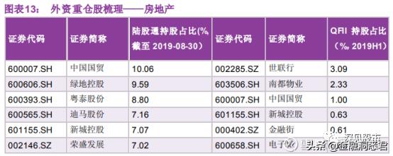 榮盛石化股票，深度解析與前景展望，榮盛石化股票深度解析及前景展望