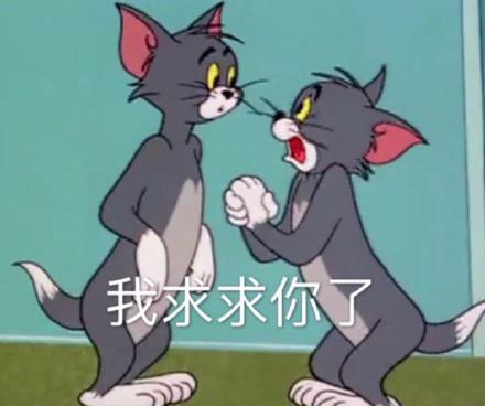 湯姆貓股票股吧，投資熱點與前景展望，湯姆貓股票股吧，投資熱點與未來前景展望