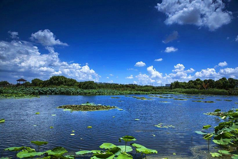 山東天氣最新消息，全面了解山東各地的氣象動(dòng)態(tài)，山東最新天氣預(yù)報(bào)，全面解讀各地氣象動(dòng)態(tài)