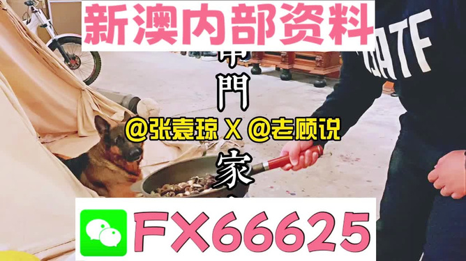 澳門管家婆資料正版大全——全面解析與深度探索，澳門管家婆資料正版大全，全面解析與深度探索指南
