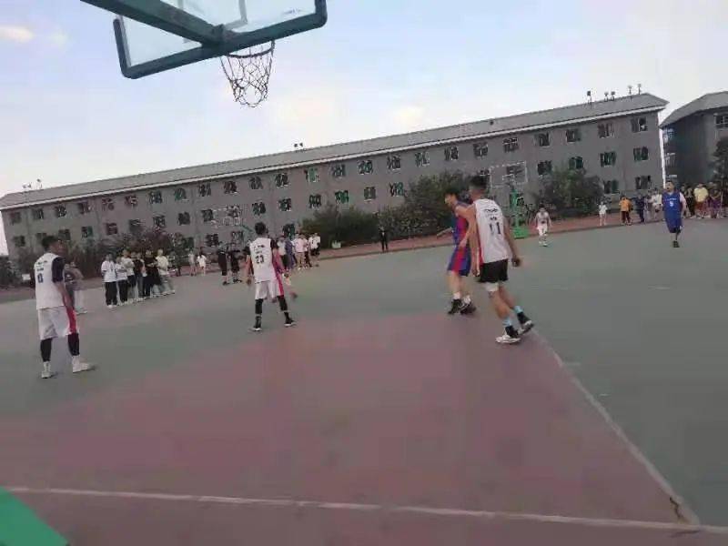 澳門二四六天下彩天天免費大全——全面解析澳門彩票文化，澳門彩票文化全面解析，二四六天下彩免費大全