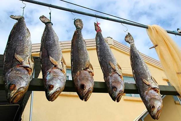 中國(guó)一級(jí)致癌魚排名及其健康風(fēng)險(xiǎn)分析，中國(guó)致癌魚排名及健康風(fēng)險(xiǎn)解析