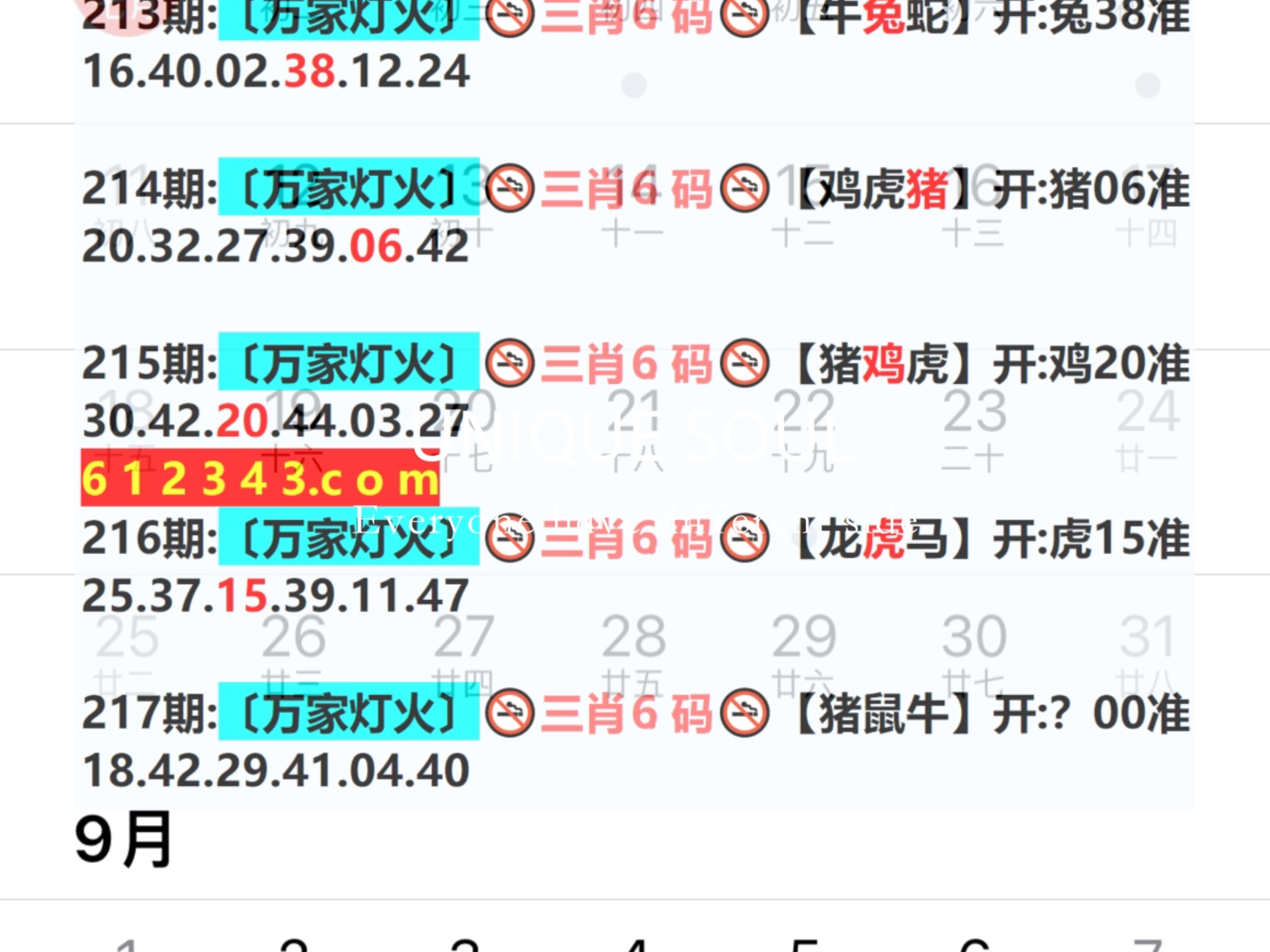 新澳門期期免費資料——探索澳門博彩文化的深度與廣度，澳門博彩文化深度與廣度探索，新澳門期期免費資料揭秘