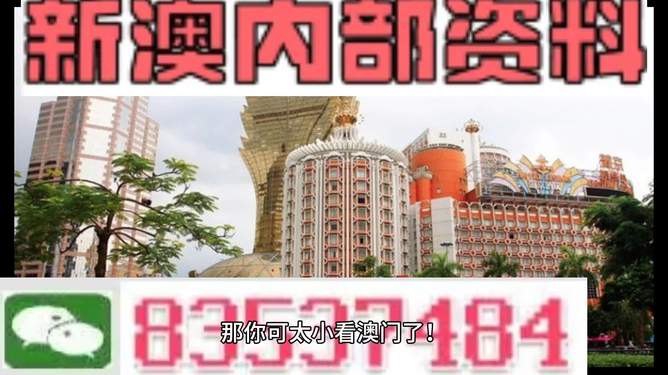 新澳新澳門正版資料，探索與解析，新澳新澳門正版資料深度解析與探索
