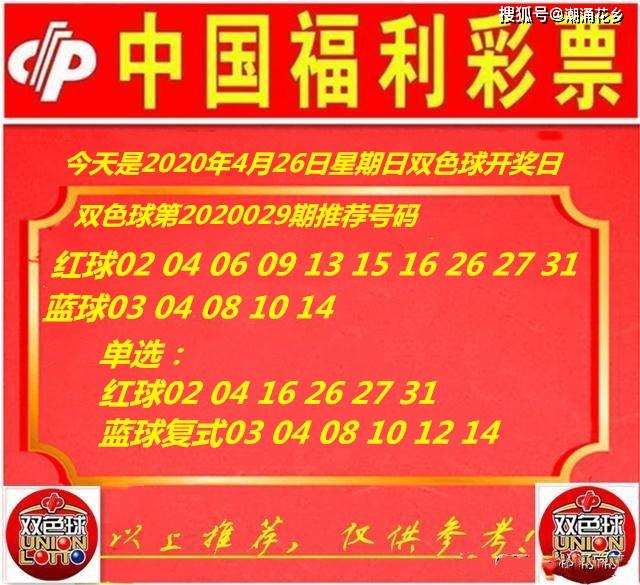 王中王029期指一生肖，揭秘生肖魅力與預測背后的秘密，揭秘生肖魅力與預測背后的秘密，王中王生肖預測第029期揭曉