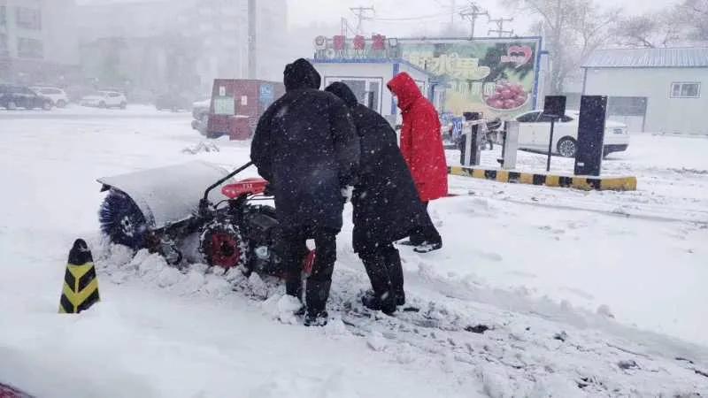 黑龍江將迎來罕見暴雪天氣，應(yīng)對與準(zhǔn)備，黑龍江罕見暴雪天氣來襲，應(yīng)對與準(zhǔn)備全攻略