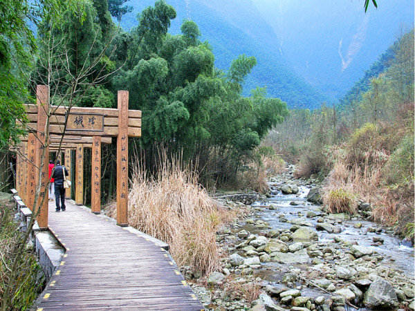 上海郊區(qū)旅游自駕景點推薦——探索郊野之美，上海郊區(qū)自駕游景點探索，郊野之美的秘境之旅