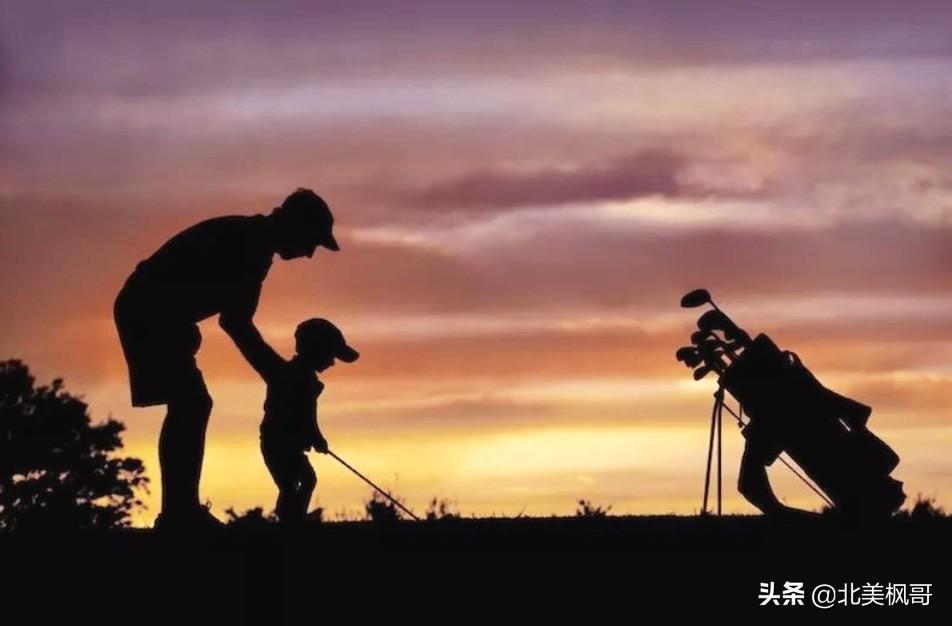 森林之中王中王，探尋生肖之神秘力量——揭秘生肖中的王者形象與森林之王的生肖解讀，揭秘生肖王者形象與森林之王生肖的神秘力量探索