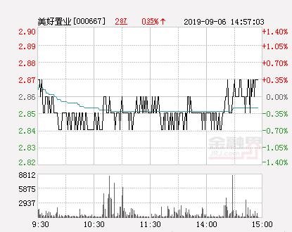 探索美好置業(yè)股吧，揭秘代碼000667背后的故事，揭秘美好置業(yè)股吧，探尋代碼000667背后的故事