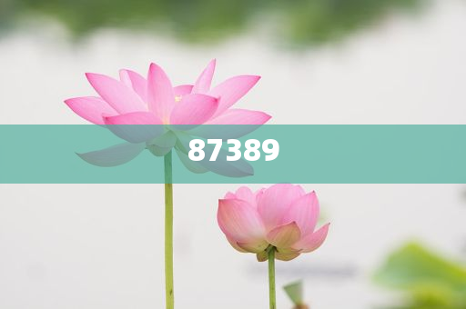 一肖是否包括特肖？深度解析生肖文化中的奧秘，深度解析生肖文化，一肖是否包含特肖？
