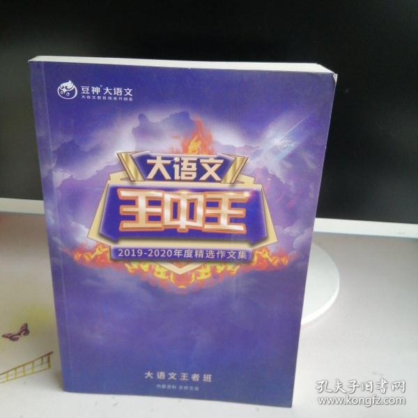 揭秘2019王中王資料一肖，全方位解讀背后的故事，揭秘王中王資料一肖背后的故事，全方位解讀與深度剖析