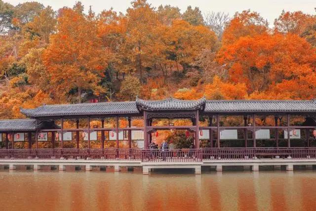 寧波旅游景點(diǎn)一日游哪里最好玩？精選一日游攻略，寧波最佳一日游景點(diǎn)攻略，必玩景點(diǎn)推薦