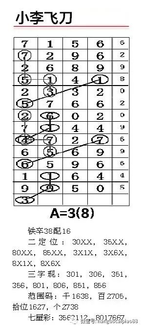 一肖二碼中平特，揭秘彩票奧秘與策略，揭秘彩票奧秘，一肖二碼中平特策略揭秘