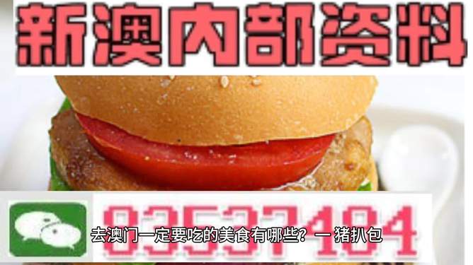 新門(mén)內(nèi)部資料精準(zhǔn)大全——探索未知領(lǐng)域的關(guān)鍵信息，新門(mén)內(nèi)部資料大全，揭秘未知領(lǐng)域的關(guān)鍵信息