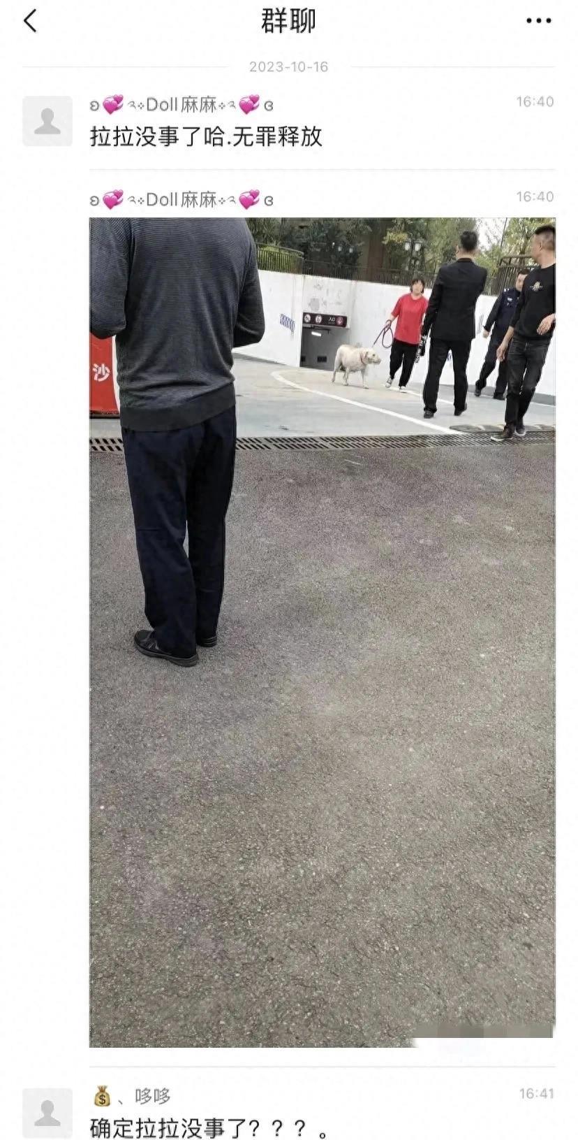 狗咬了多久過安全期，深入了解與應(yīng)對(duì)方法，狗咬傷后的安全期及應(yīng)對(duì)方法詳解