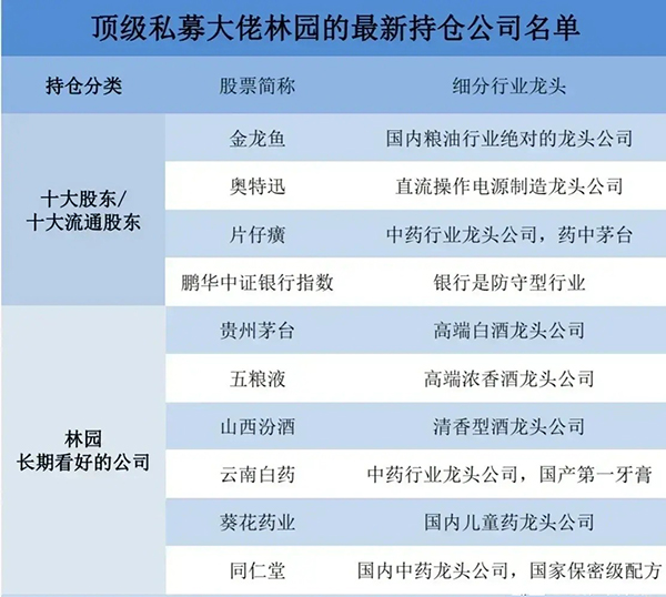 林園最新前十大重倉股票，深度解析與前景展望，林園前十大重倉股票深度解析及前景展望